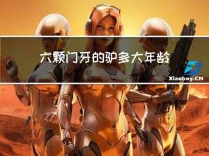 六颗门牙的驴多大年龄
