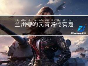 兰州哪的元宵好吃实惠