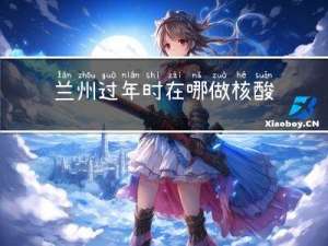 兰州过年时在哪做核酸