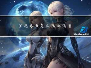 兰花冬天怎么防止消蕾