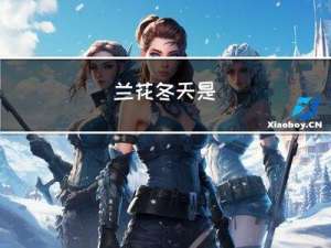 兰花冬天是