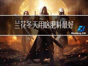 兰花冬天用啥肥料最好