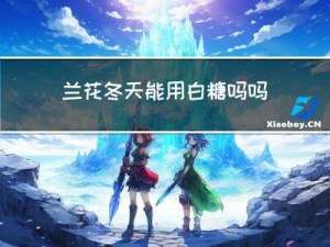 兰花冬天能用白糖吗吗