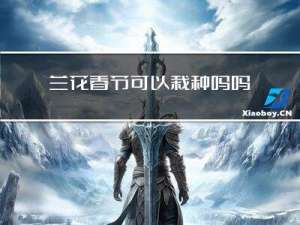 兰花春节可以栽种吗吗