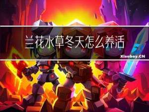 兰花水草冬天怎么养活