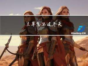 兰草怎么过冬天