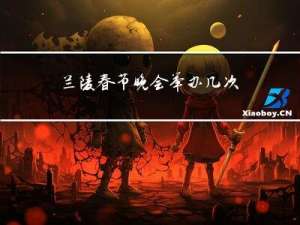 兰陵春节晚会举办几次