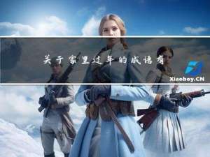 关于家里过年的成语有哪些