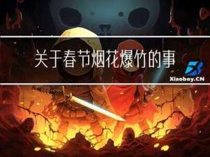 关于春节烟花爆竹的事例