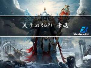 关于的BGP11条选路规则