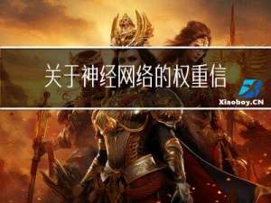 关于神经网络的权重信息和特征图的可视化