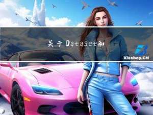 关于Dataset和DataLoader的概念