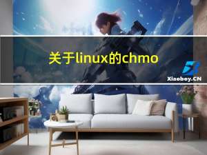 关于linux的chmod问题