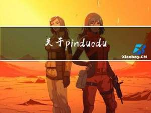 关于pinduoduo开放接口测试