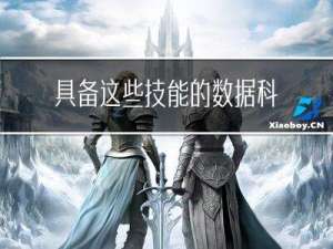 具备这些技能的数据科学家，最受滴滴人力资源小姐姐欢迎