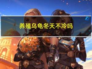 养殖乌龟冬天不冷吗