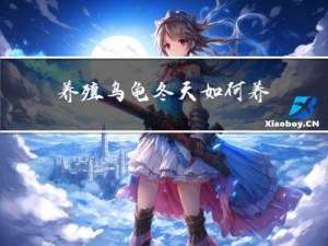 养殖乌龟冬天如何养