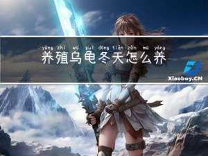 养殖乌龟冬天怎么养