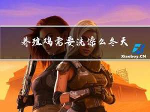 养殖鸡需要洗澡么冬天