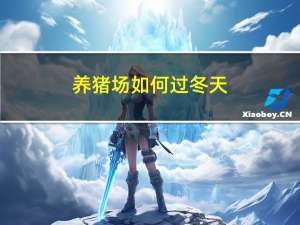 养猪场如何过冬天