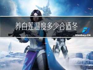 养白莲温度多少合适冬天