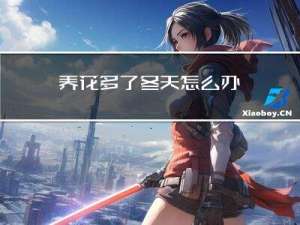 养花多了冬天怎么办