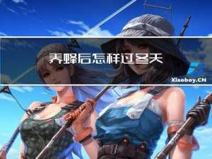 养蜂后怎样过冬天