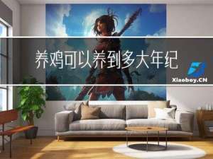 养鸡可以养到多大年纪