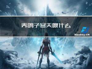 养鸽子冬天喂什么