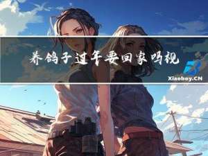 养鸽子过年要回家吗视频