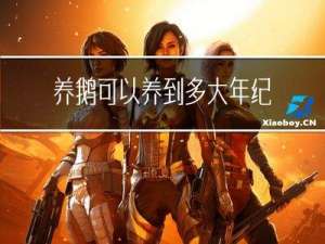 养鹅可以养到多大年纪