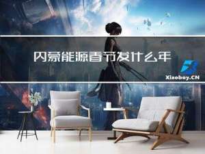 内蒙能源春节发什么年货