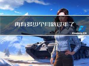 再有多少个月就过年了