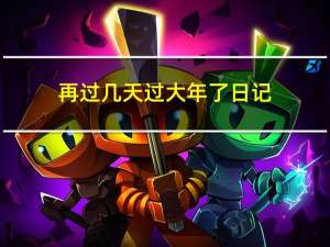 再过几天过大年了日记