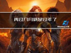 再过几月就是过年了