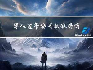 军人过年公司放假吗吗