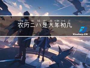 农历二八是大年初几