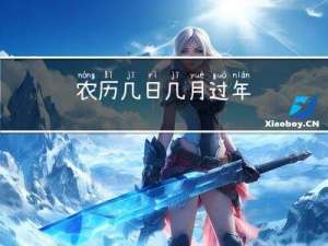 农历几日几月过年