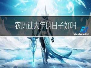 农历过大年的日子好吗