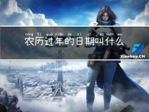 农历过年的日期叫什么