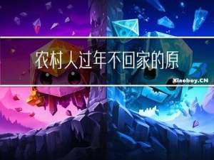 农村人过年不回家的原因