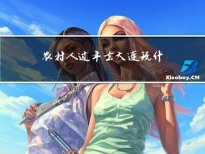 农村人过年去大连玩什么