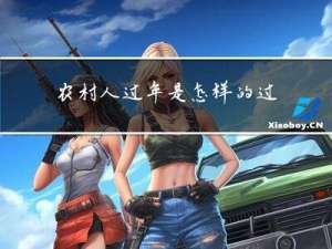 农村人过年是怎样的过程
