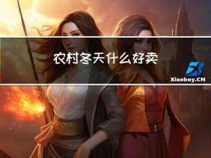 农村冬天什么好卖