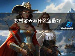 农村冬天养什么鱼最好