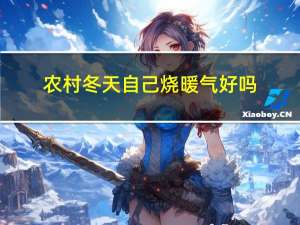 农村冬天自己烧暖气好吗