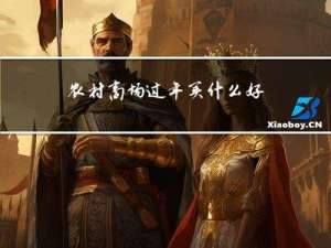 农村商场过年买什么好