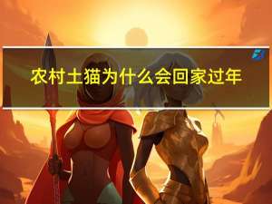 农村土猫为什么会回家过年