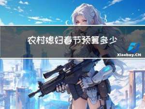 农村媳妇春节预算多少
