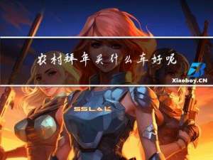 农村拜年买什么车好呢